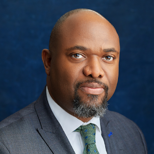 Toyin Owolabi Non-Executive Director FSDH Capital Limited
